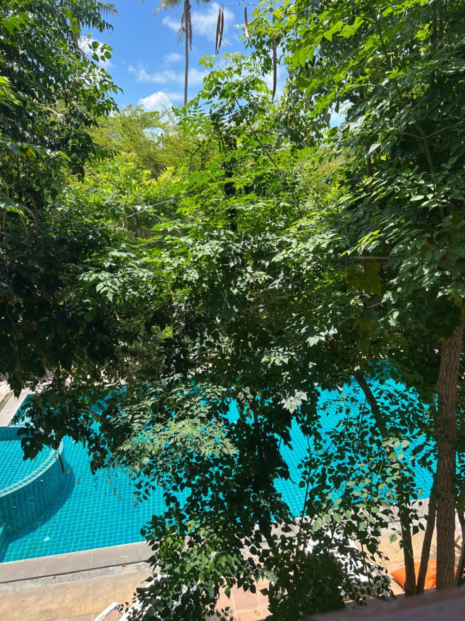 Samui Seabreeze Place Ко Самуи Екстериор снимка
